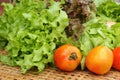 Vegetables salad and tomato in the basket