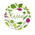 Vegetables, salads and green veggies vector icons