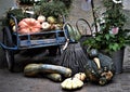 Vegetables for sale Royalty Free Stock Photo