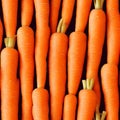 Vegetables seamless pattern, Big carrots