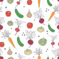 Vegetables seamless pattern tomato, carrot, radish, cucumber with outline on white background. Vector