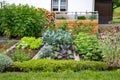 Private vegetable garden with growing vegetables such as kohlrabi, peas and lettuce and a raised bed for herbs Royalty Free Stock Photo