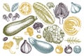 Vector collection of hand sketched vegetables. Vintage veggies and spices illustrations set. Healthy food drawings for vegetarian