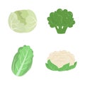 Vegetables set with cabbage, cauliflower, broccoli, and Chinese cabbage