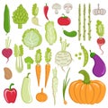 Vegetables set