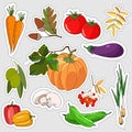 709 vegetables, vector illustration for different design