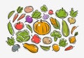 Vegetables set. Farming, horticulture concept. Vector illustration