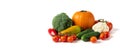 Vegetables set isolated on a white background. Banner. Pumpkin, broccoli, cauliflower, peppers and tomatoes. Autumn harvest. Copy