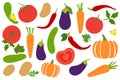 Vegetables set. Potato, cucumber, tomato, pepper, chili, carrot, pumpkin and eggplant. Paprika. Hand drawn doodle vector sketch.