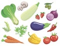 Vegetables. Set of simple color illustrations