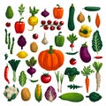 Vegetables set. Variety of decorative vegetables with grain texture isolated on white. Collection farm product for Royalty Free Stock Photo