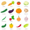 Vegetables signed names icons set, isometric style