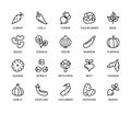 Vegetables, simple set of vector linear icons. Collection of vegetables icons on white background. Vector symbol set of healthy
