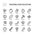 Vegetables, simple set of vector linear icons. Isolated collection of vegetables icons. Vector symbol set of Healthy