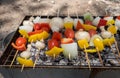 Vegetarian Shish Kebab barbecue on a Grill Royalty Free Stock Photo