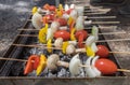 Vegetarian Shish Kebab barbecue on a Grill Royalty Free Stock Photo