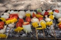 Vegetarian Shish Kebab barbecue on a Grill Royalty Free Stock Photo