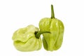 Vegetables of small green chili pepper habanero on white background Royalty Free Stock Photo