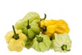 Vegetables of small yellow and green chili pepper habanero on white background. Royalty Free Stock Photo