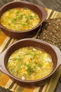 Vegetables soup with sour cabbage in bowl Royalty Free Stock Photo