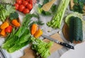 Vegetables. Spring vitamins. Healthy food. Summer season. Salad. Detox. Diet menu. Eat Royalty Free Stock Photo