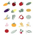 Simple set of vegetables. Vegetables icons. Flat vector illustration. Includes all garden vegetables and mushrooms. Royalty Free Stock Photo