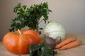 Vegetables, still life. Vegetable harvest in autumn. Beautiful ripe vegetables. Royalty Free Stock Photo