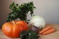 Vegetables, still life. Vegetable harvest in autumn. Beautiful ripe vegetables. Royalty Free Stock Photo