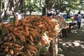 Vegetables on street market under huge banyan tree - ficus benghalensis, Cuba