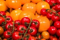 Vegetables in supermarket. Red small tomatoes on a branch with big yellow. Bright colors. Vitamins and healthy food. Diet. Royalty Free Stock Photo