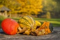 Autumn and vegetables Royalty Free Stock Photo