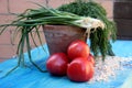 Vegetables tomatoes green onions parsley flakes