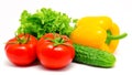Vegetables tomatos cucumber lettuce and paprika isolated