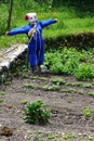 Scarecrow in French vegetable garden, Isere Region Royalty Free Stock Photo
