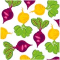 Vector illustration fresh vegetables beet and turnip