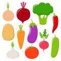 Vegetables vector healthy nutrition of vegetably tomato pepper and carrot for vegetarians eating organic food from grocery