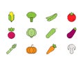 Vegetables vector icons set in flat style Royalty Free Stock Photo