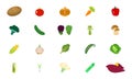 Vegetables vector icons set sign in color. EPS 10. Vegetables flat illustration.Farm market products. Vegetarian food... Fresh Royalty Free Stock Photo