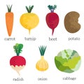 a set of vegetables-root vegetables from the garden Royalty Free Stock Photo