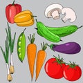 350 vegetables, vector illustration, isolate on gray background Royalty Free Stock Photo