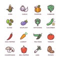 Vegetables vegan raw food colored vector icons set Royalty Free Stock Photo