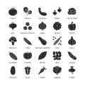 Vegetables vegan silhouette icons business analysis vector set design elements vegetables fresh healthy food vector Royalty Free Stock Photo