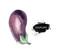Vegetables vitamin healthy green organic hand drawn watercolor diet menu with eggplant fresh illustration. Isolated on Royalty Free Stock Photo