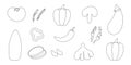 vegetables vitamins doodle line garden elements set