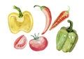 Vegetables watercolor by hand yellow green red pepper ripe tomato set vegetarian food