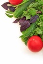 Vegetables on white background