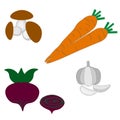 Vegetables on a white background - mushrooms, carrots, garlic and beets