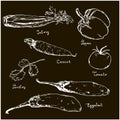 Vegetables white on black hand drawn ink sketch. Set of various vegetables. Sketches of different eco food. Isolated on