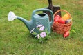 Vegetables in a wicker basket and watering can in natural green background Royalty Free Stock Photo