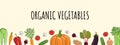 Vegetables wide frame. Organic market banner and healthy food template. Concept of fresh farm products. Hand drawn vector Royalty Free Stock Photo